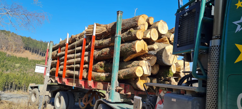 Holz-LKW-Transport